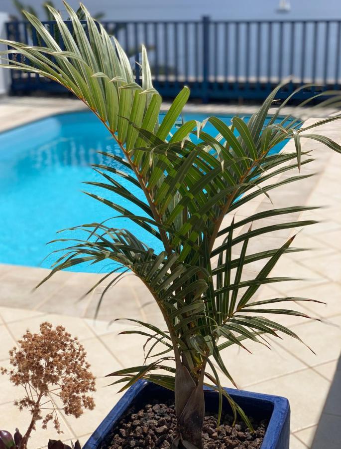 פוארטו קאלרו Frontline Villa 25, Modern Coastal Design With Amazing Views מראה חיצוני תמונה